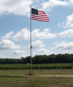 Blueberries and strawberries - quick drive from Allendale, Zeeland, Standale, Holland, Hudsonville, Grandville, Jenison, West Ottawa and all of West Michigan!