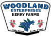 Best quality blueberries and raspberries in West Michigan! U-pick blueberries or we pick them for you, along
with already picked raspberries. Quick drive from Zeeland, Holland, Allendale, Standale, Hudsonville, Grandville, Jenison, West Olive. Come visit our beautiful farm to get
some of the best berries you have ever had!